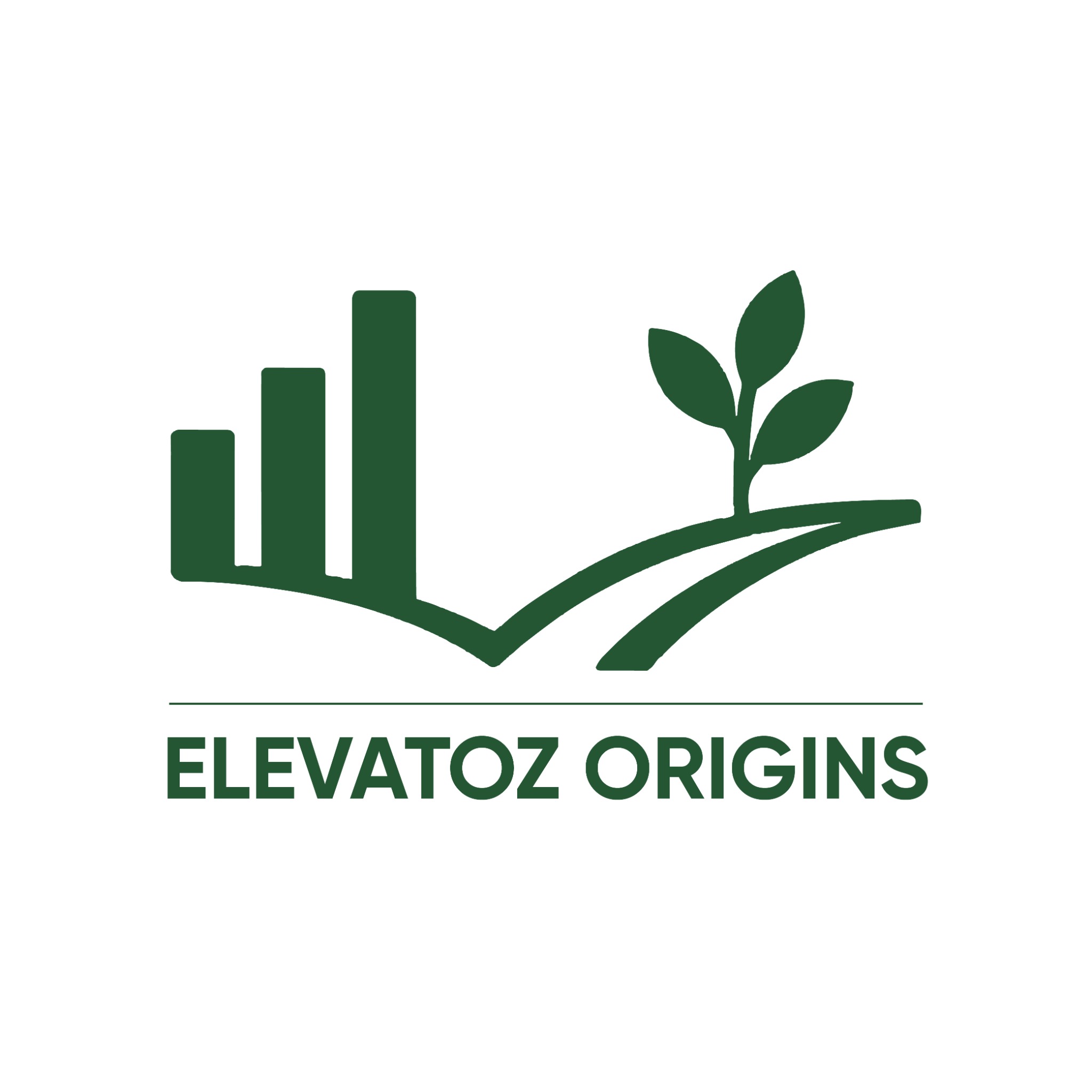 Elevatoz Origins logo